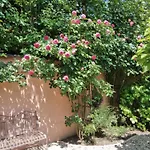 Apartamento Sirály Ház