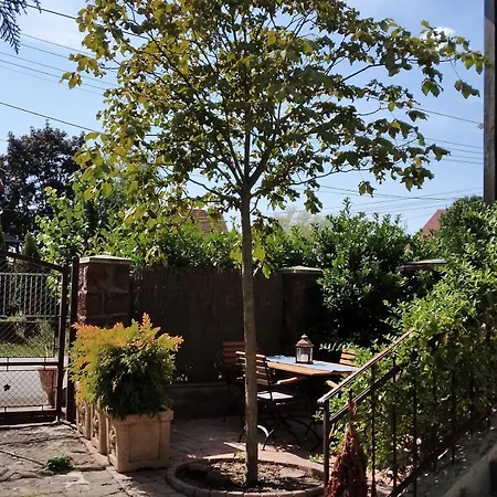 Apartment Siraly Haz *