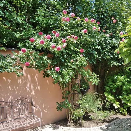 Appartement Siraly Haz