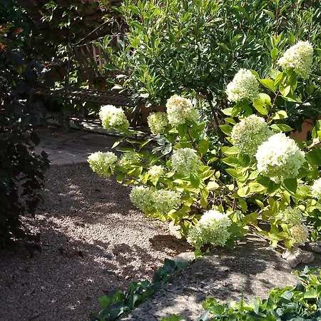 Siraly Haz Appartement