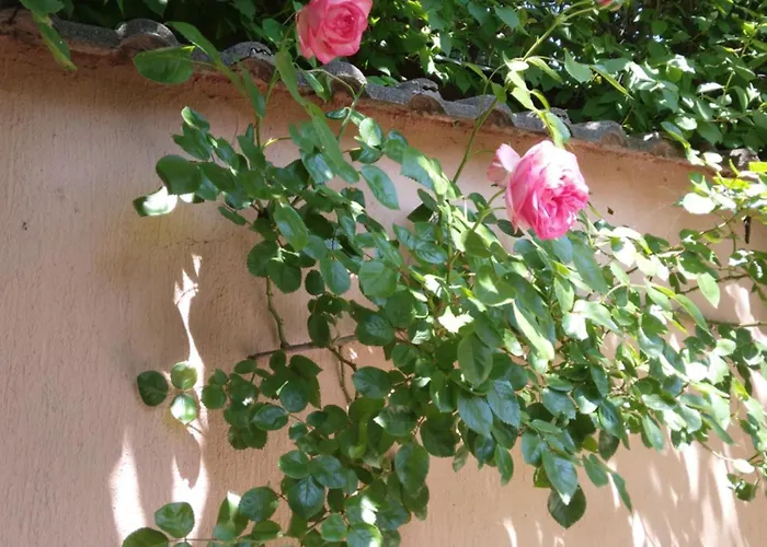 Siraly Haz Apartment *