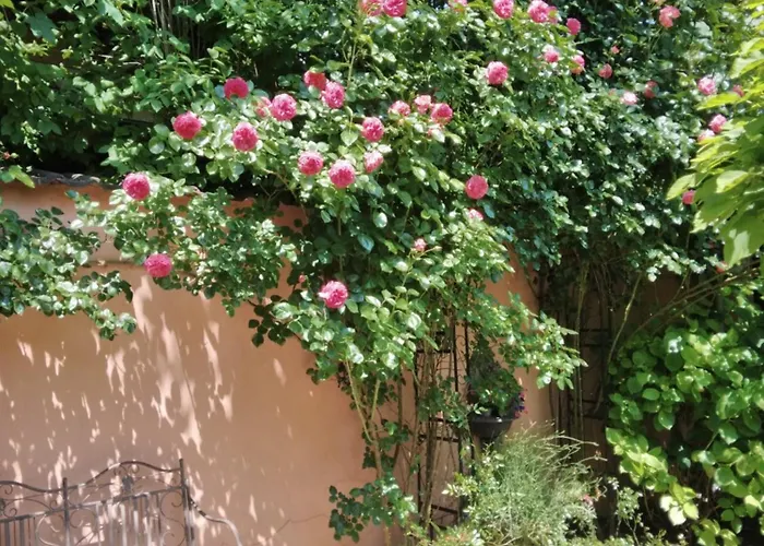 Appartement Siraly Haz