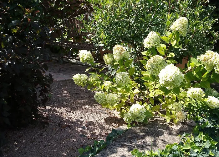 Siraly Haz Apartment